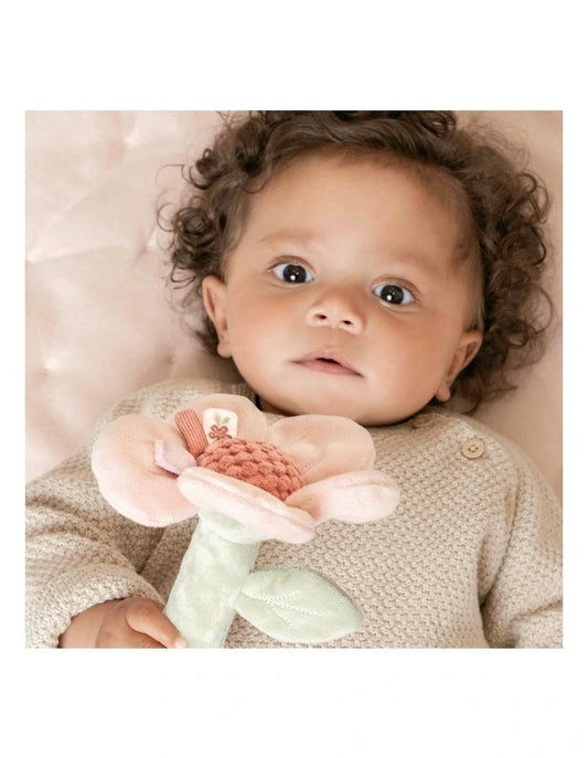 Little Dutch -Rattle Flower - Fairy Garden