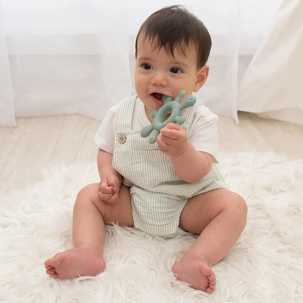 Playground- Sage Silicone Splash Teether