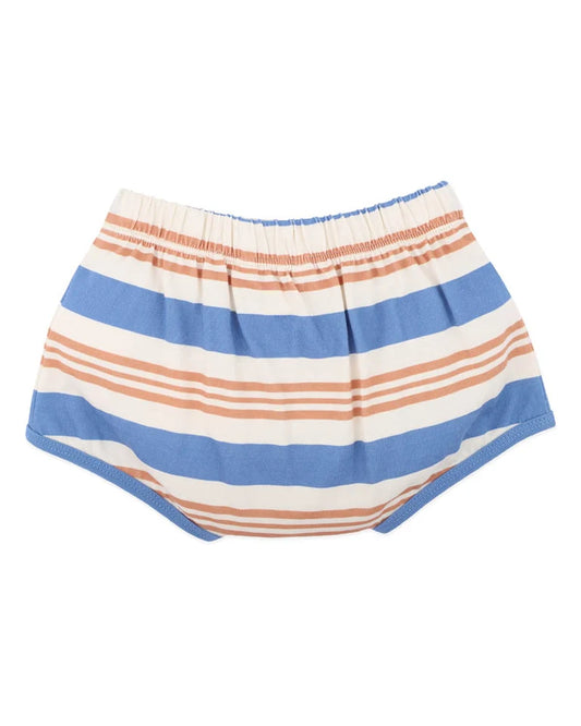 Fox & Finch - Phoenix Stripe Shorts