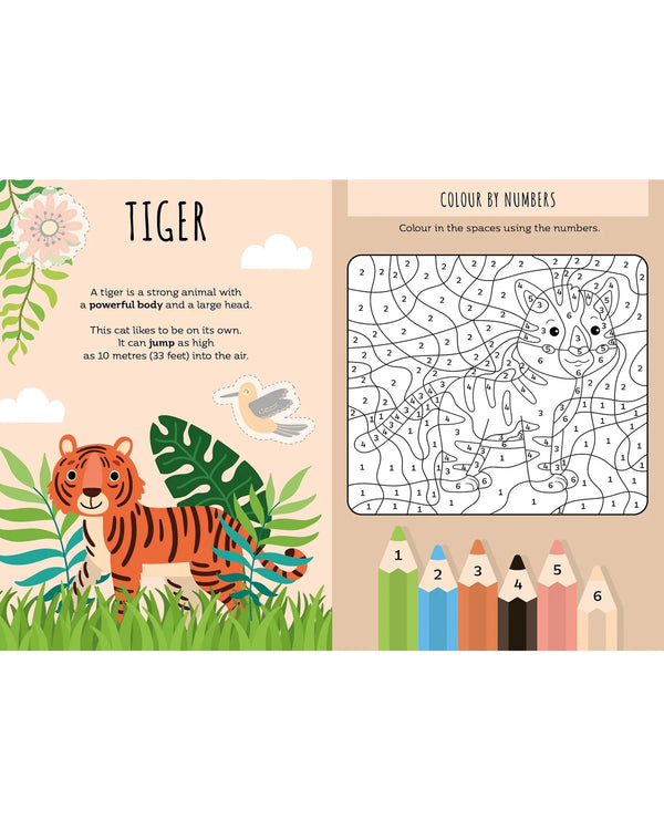 Sassi - Jungle Sticker and Activity Book