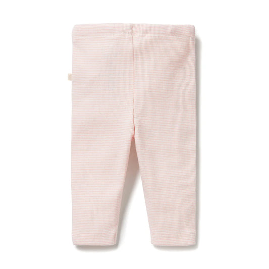 Wilson & Frenchy - Cantelope Pink Organic Rib Leggings