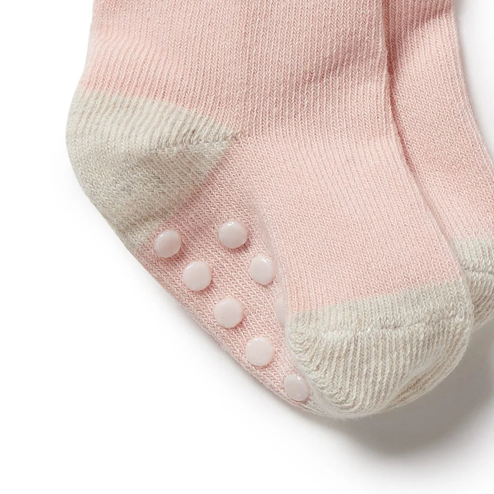 Wilson & Frenchy - Cantaloupe 3 Pack Baby Socks