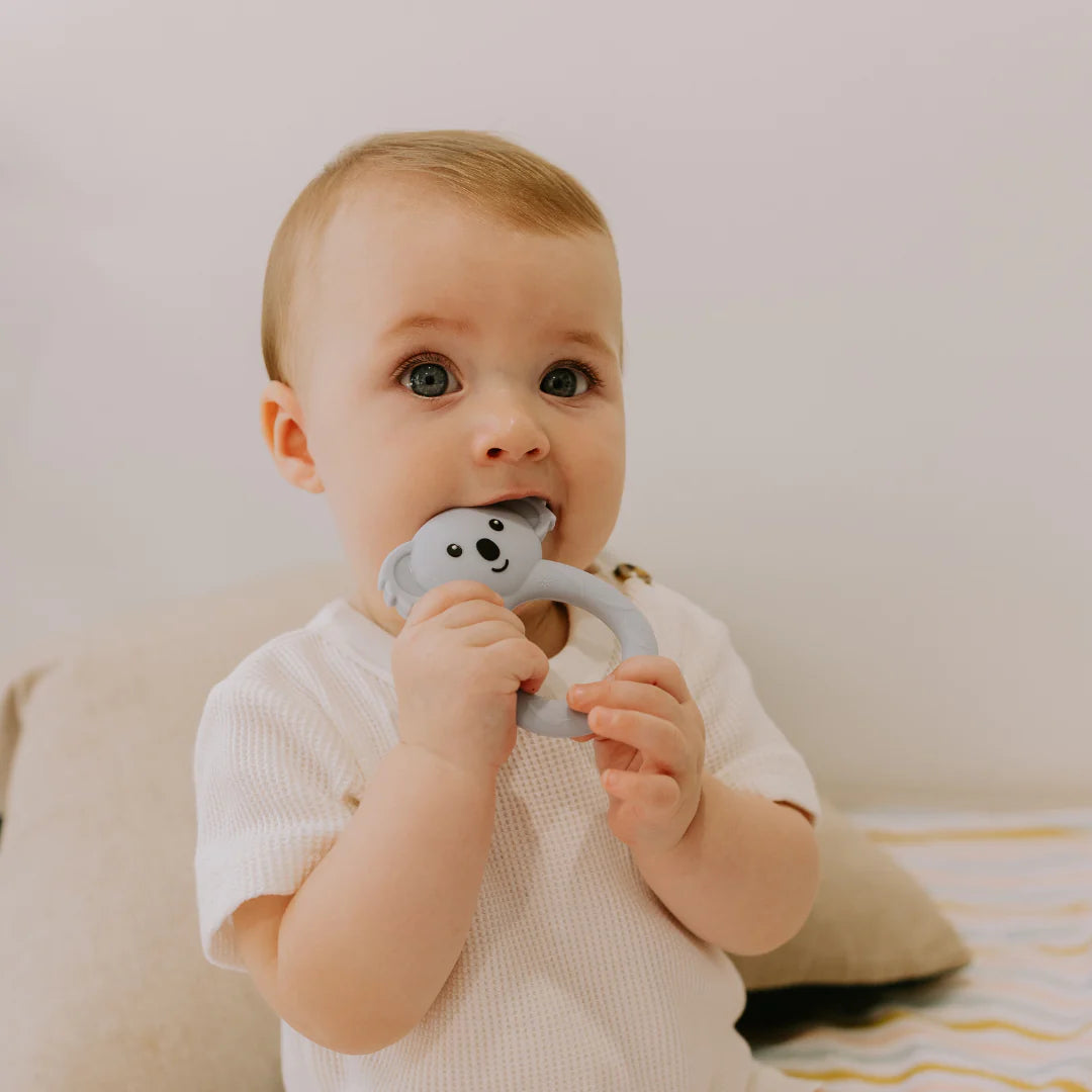 Jellystone - Koala Teether - Joey Blue