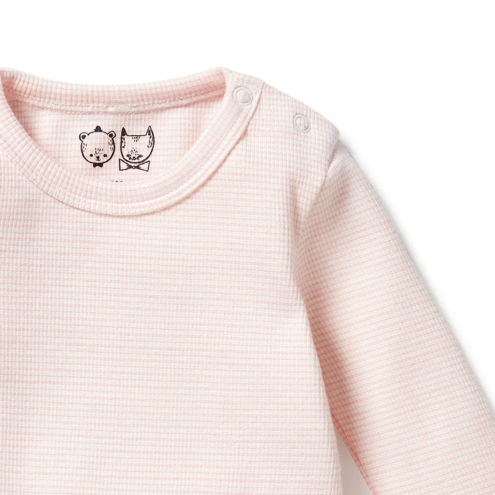 Wilson & Frenchy - Cantelope Pink Organic Rib Bodysuit