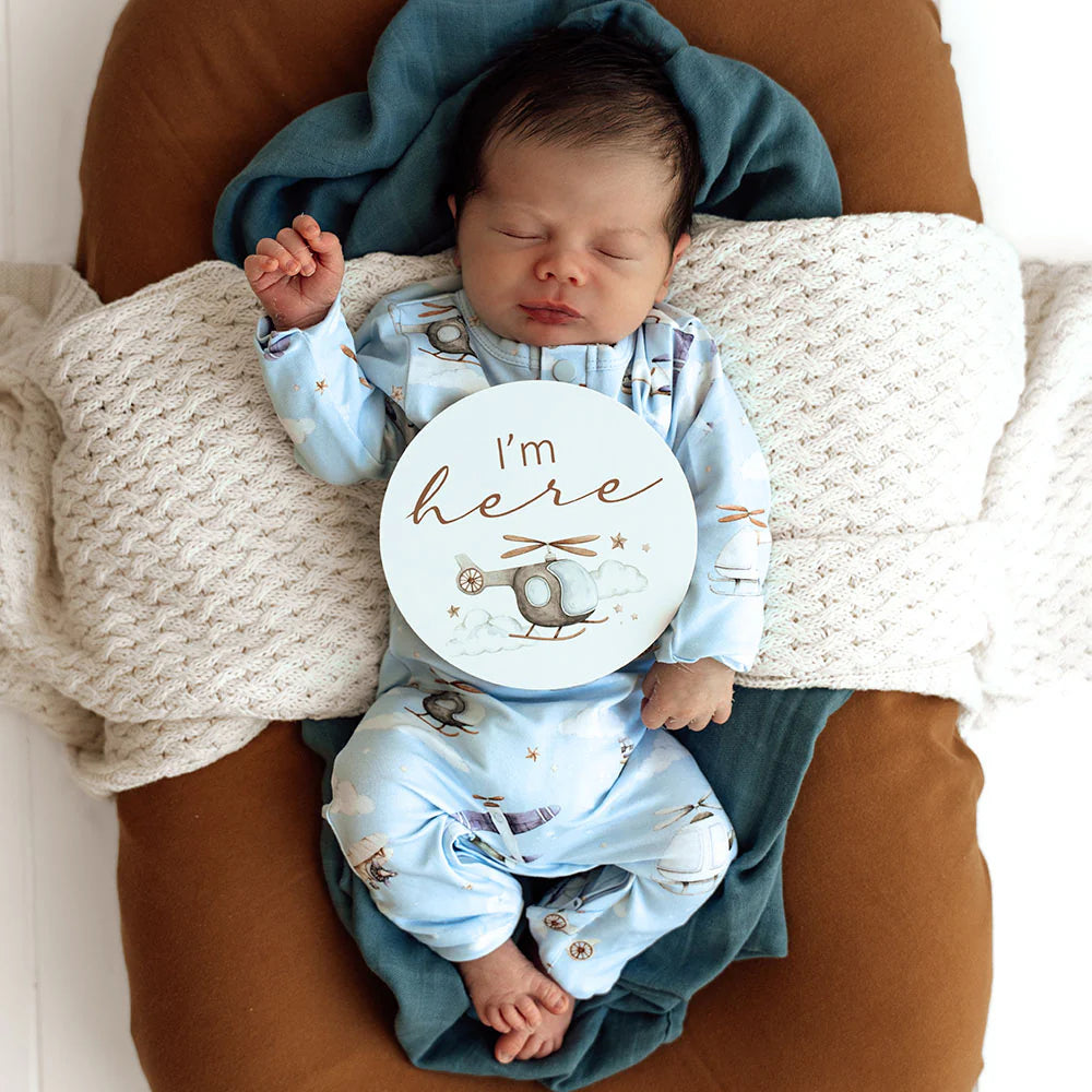 Snuggle Hunny - Taking Flight & Pebble Milestone Cards