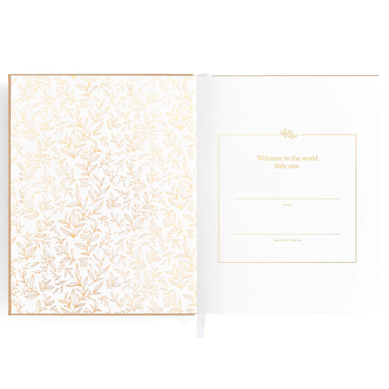 Fox & Fallow Baby Book- Biscuit