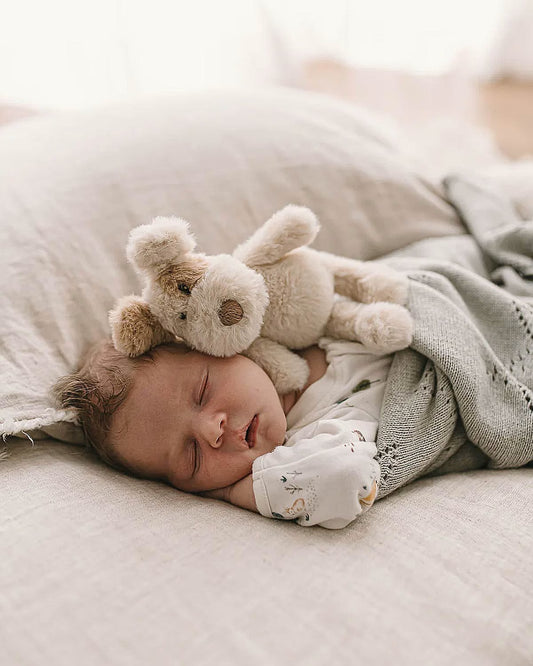 Nana Huchy- Buddy The Dog Rattle