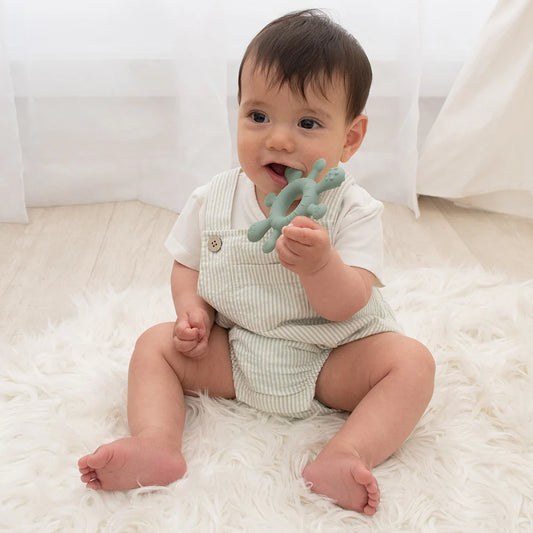 Playground- Sage Silicone Splash Teether