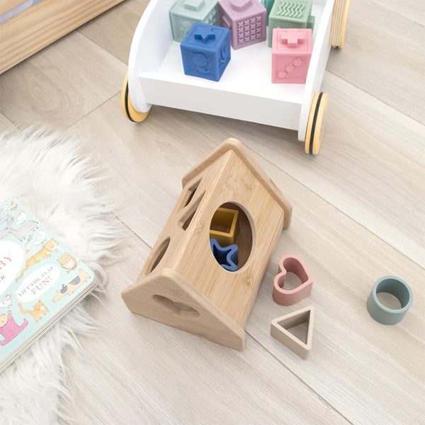 Playground- House Shape Sorter