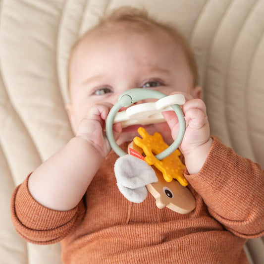 Done By Deer-Sensory Activity Ring