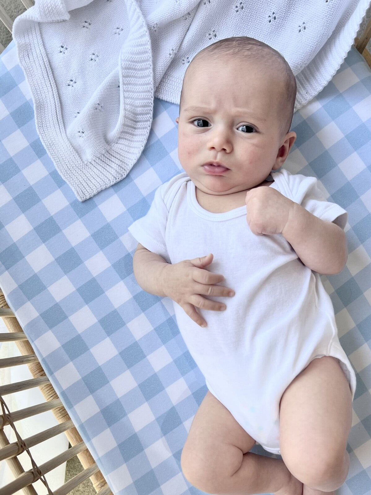 Cuddle Bug & Co - Blue Gingham Organic Fitted Bassinet Sheet