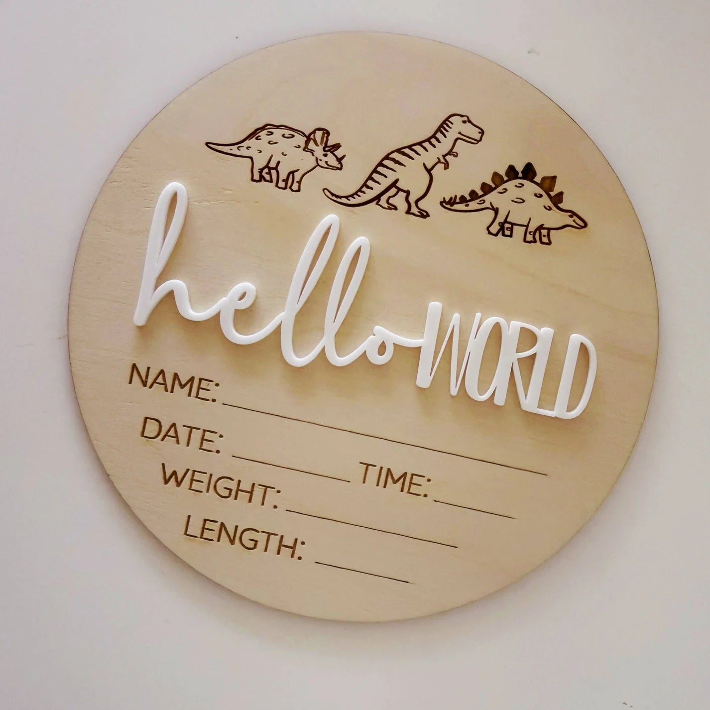 Timber Tinkers- Hello World Dino Announcement Plaque
