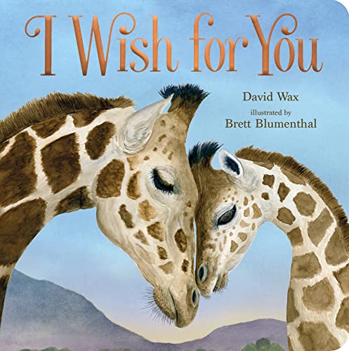 I Wish For You Board Book