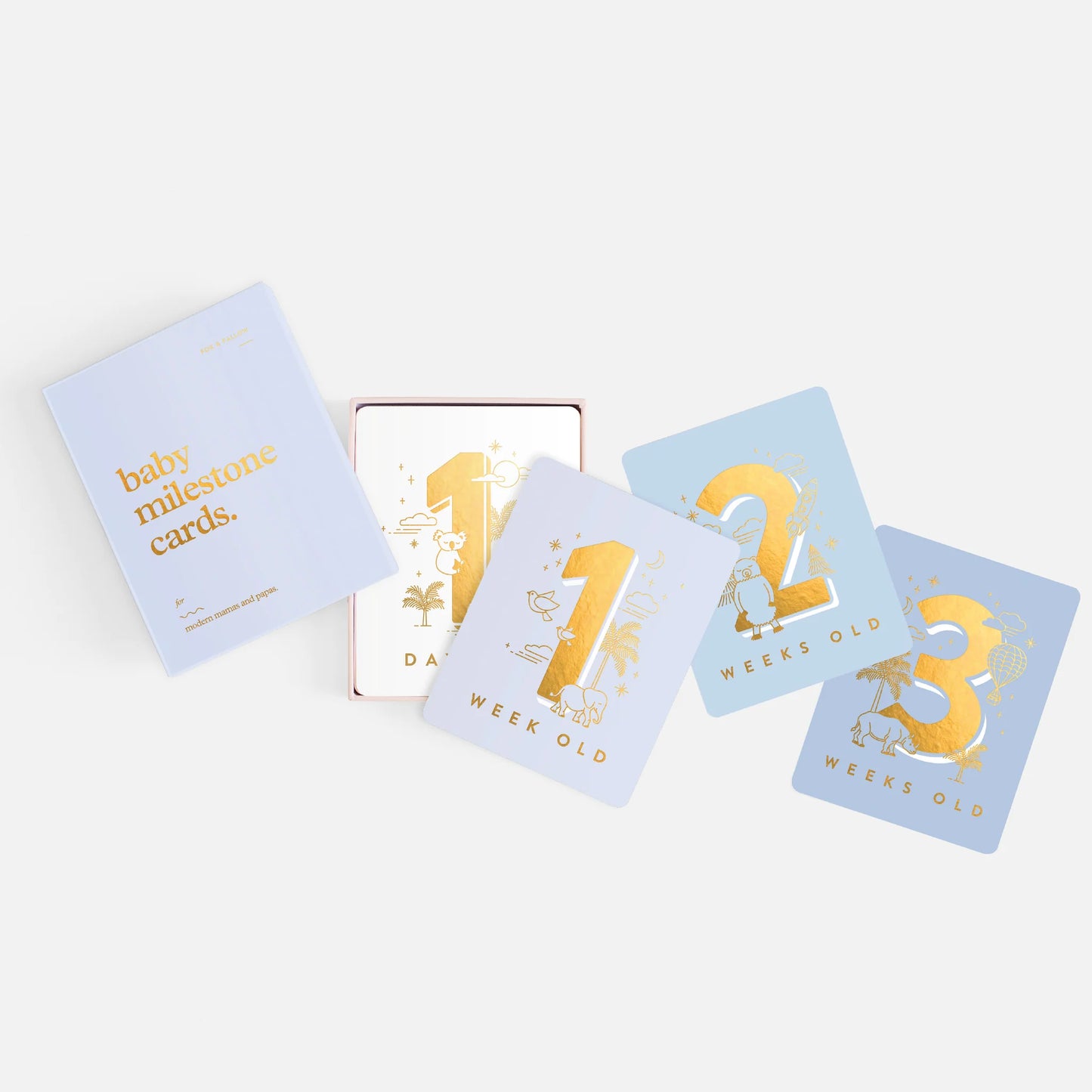 Fox & Fallow - Powder Blue Baby Milestone Cards