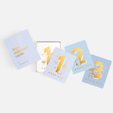 Fox & Fallow - Powder Blue Baby Milestone Cards