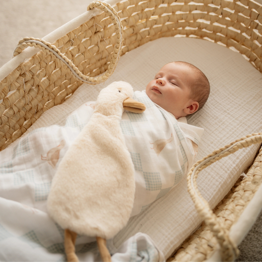 Pop Ya Tot- Wattles The Goose Comforter