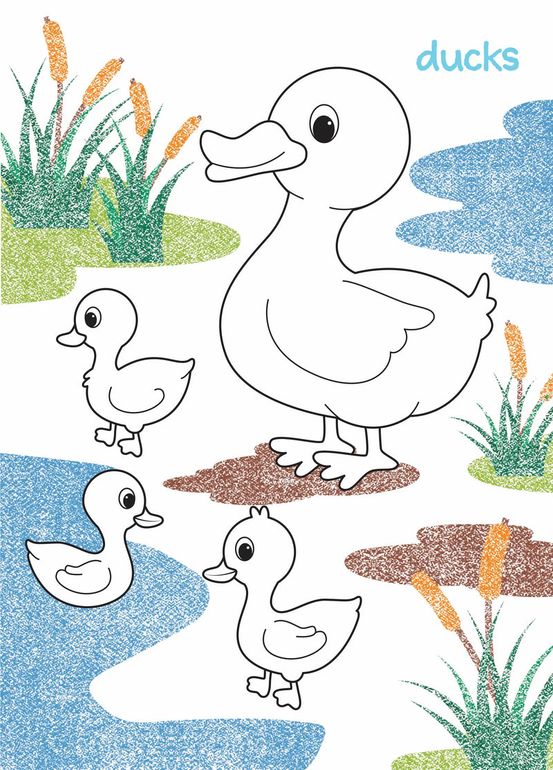 First Creations - My First Colouring Book - Farm Animals