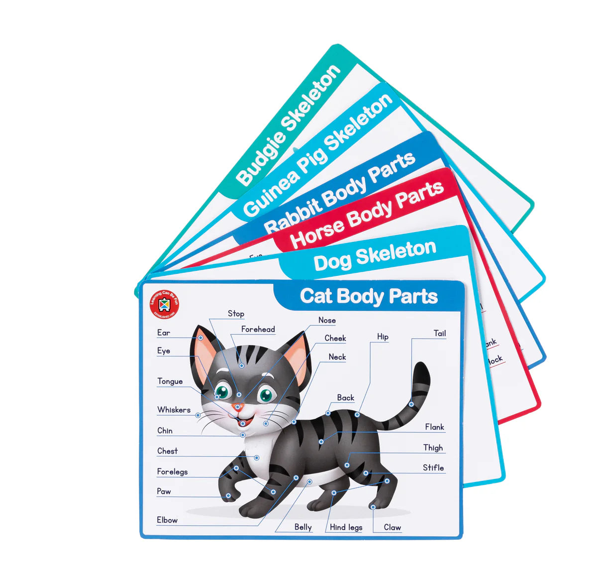 Learning Can Be Fun - My First Vet Set