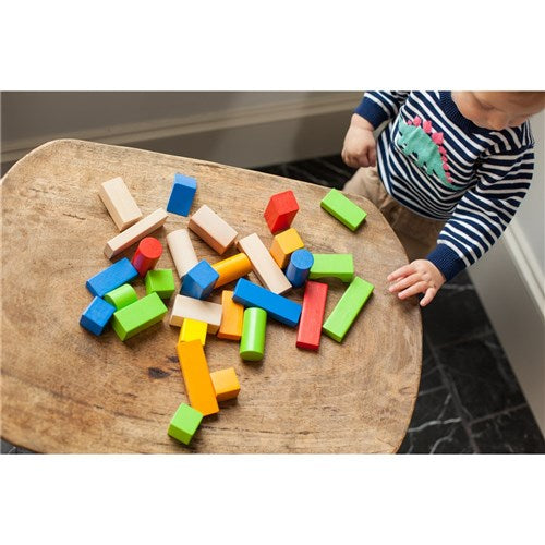 Fat Brain Toys- 100 Piece Timber Blocks