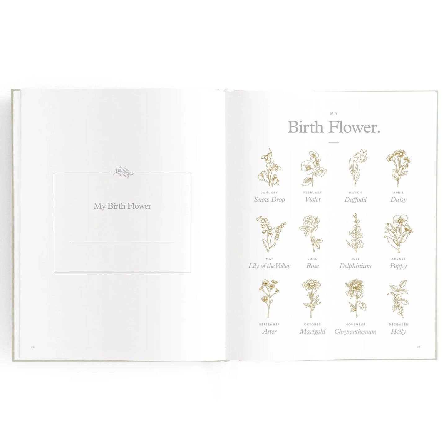 Fox & Fallow - Baby Book Pistachio