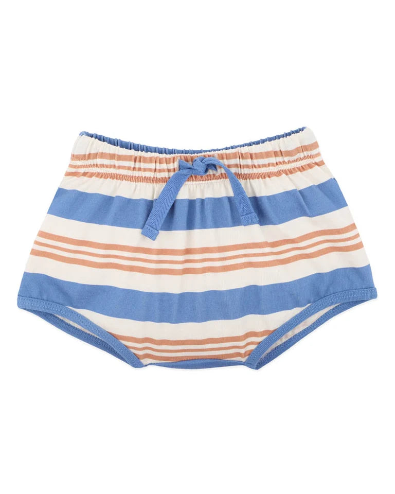 Fox & Finch - Phoenix Stripe Shorts