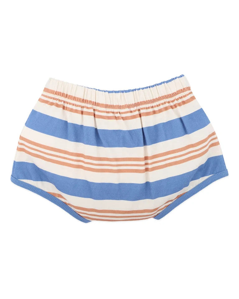 Fox & Finch - Phoenix Stripe Shorts