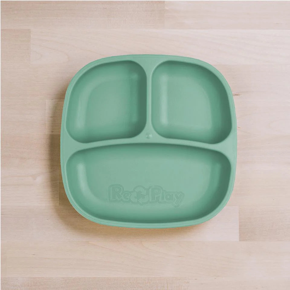Re-Play- Divided Plate