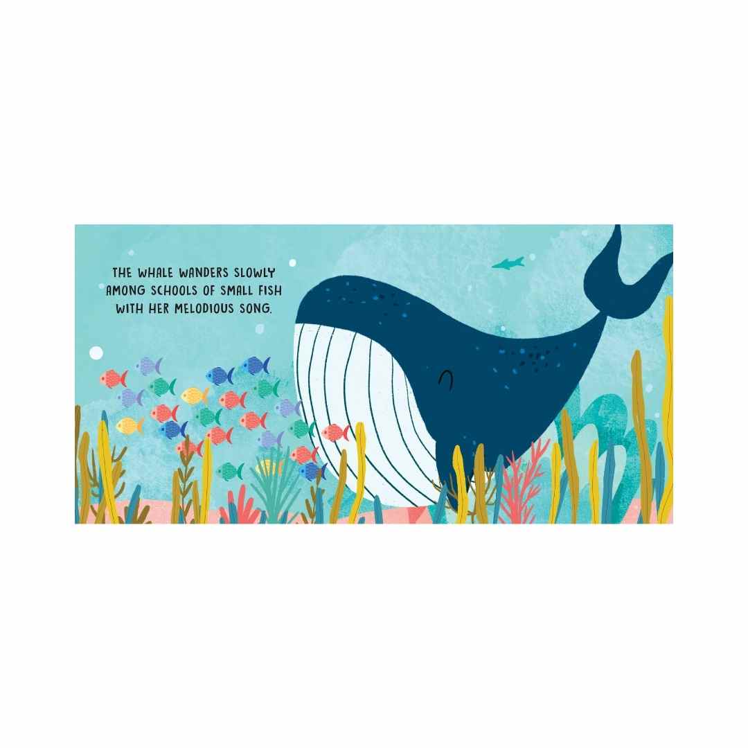 Sassi Sweet Sounds Book- The Sea