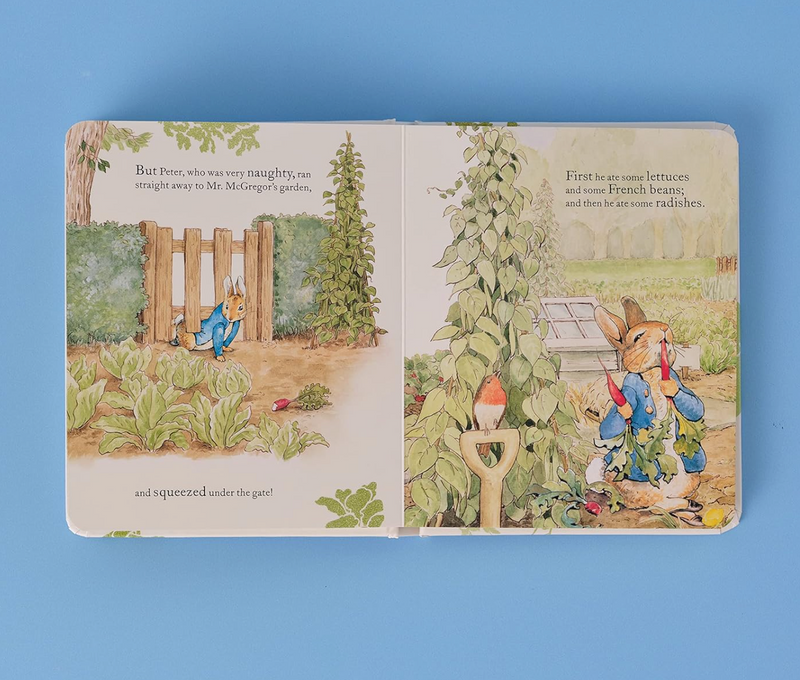 The Tales of Peter Rabbit- Picture Book
