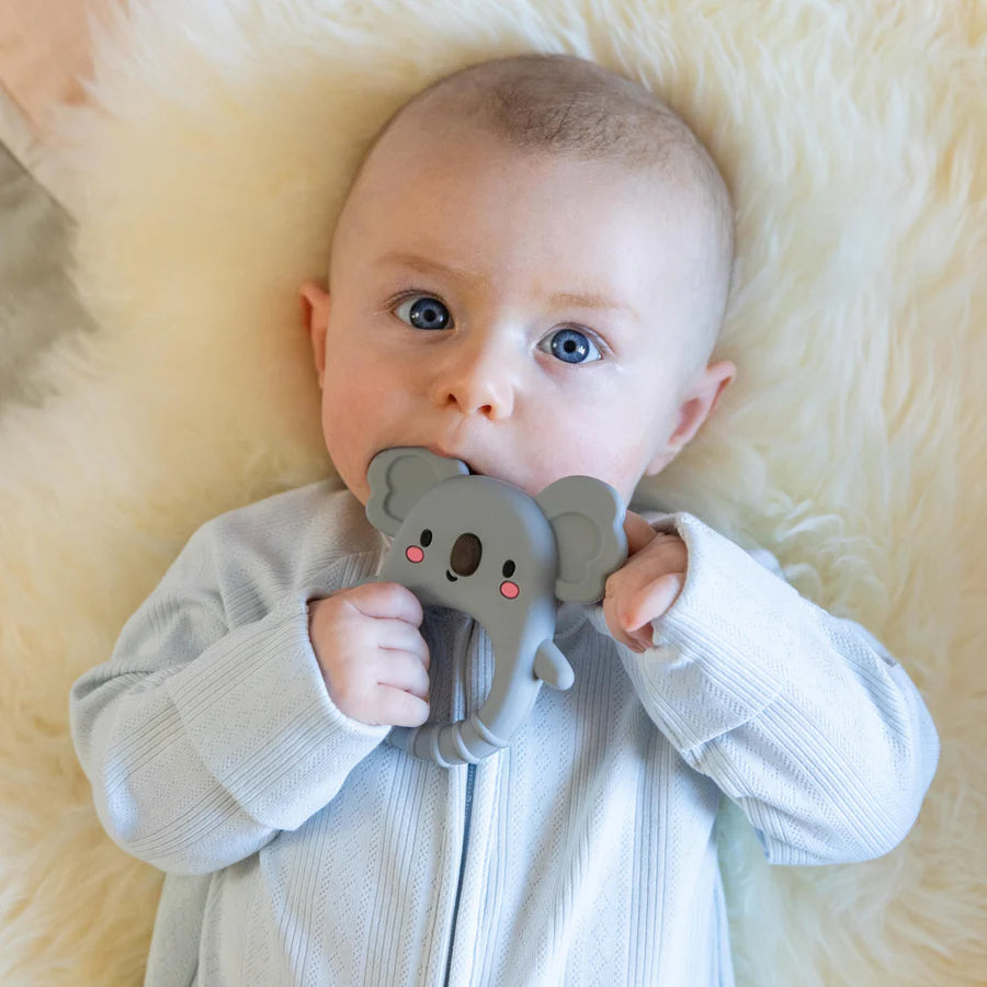 Tiger Tribe- Silicone Teether- Koala