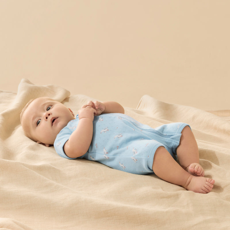 Wilson & Frenchy - Sunny Seagulls Organic Pointelle Boyleg Zipsuit