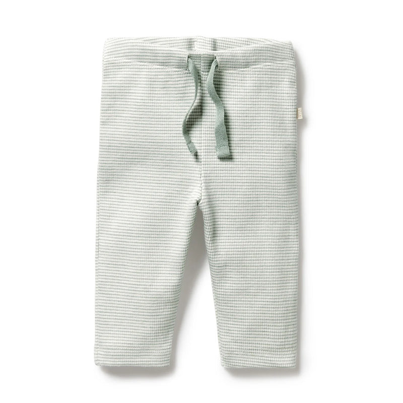 Wilson & Frenchy - Fern Organic Rib Legging
