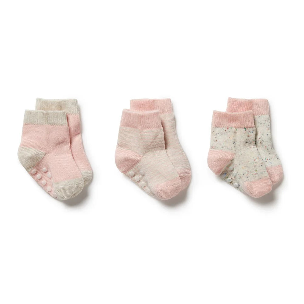 Wilson & Frenchy - Cantaloupe 3 Pack Baby Socks
