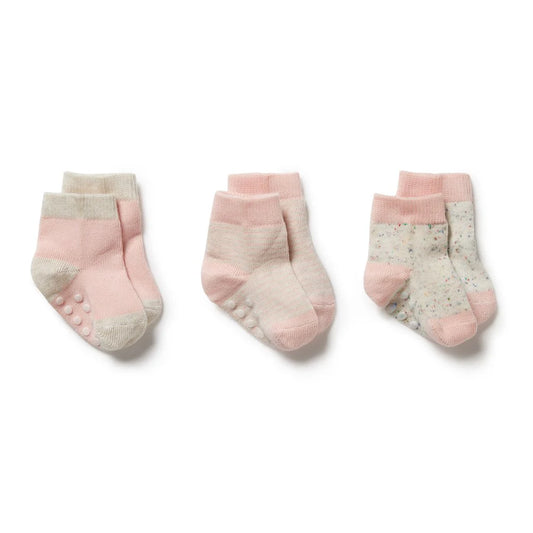 Wilson & Frenchy - Cantaloupe 3 Pack Baby Socks