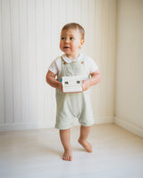 Bebe - Roman Green Stripe Overalls