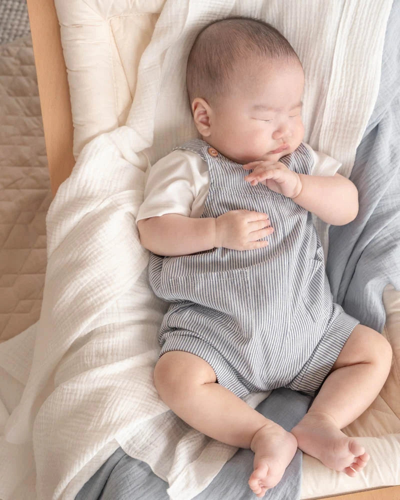 Fox & Finch -  Evan Blue Stripe Overalls
