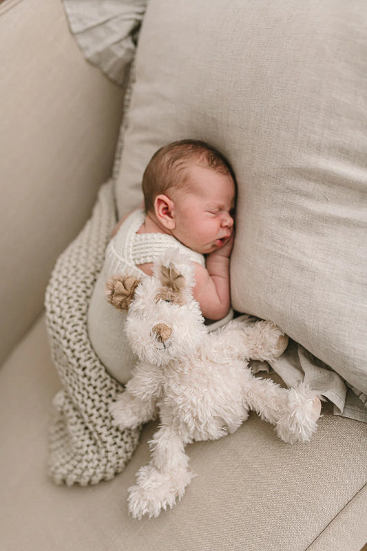 Nana Huchy- Buddy the Pup - Beige