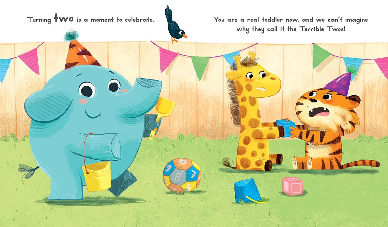Now You Are 2- Board Book