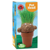 Mrs Green Pot Head- Grass Growing Plant Head