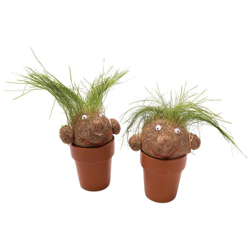 Mrs Green Pot Head- Grass Growing Plant Head