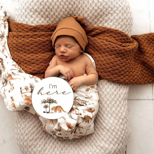 Snuggle Hunny Kids- Dino Organic Muslin Wrap