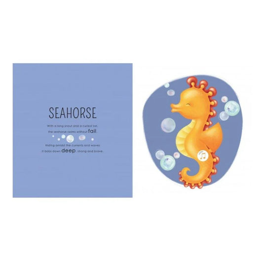 Sassi Sound Book- Who Lives In The Sea