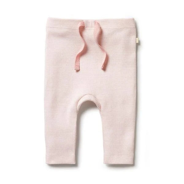 Wilson & Frenchy - Cantelope Pink Organic Rib Leggings
