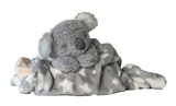 Cutesy Wootsy Comforter- Coral Koala